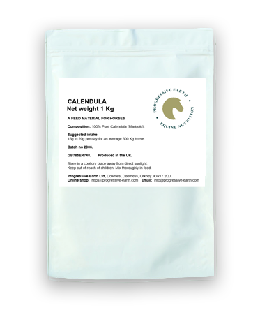 Calendula Officinalis (Marigold Flowers)