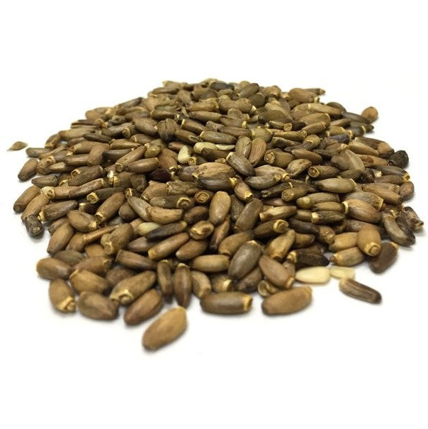 Milk Thistle Seeds Whole