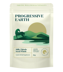 Milk Thistle Seeds Whole