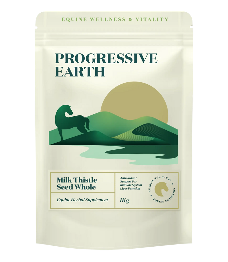 Milk Thistle Seeds Whole