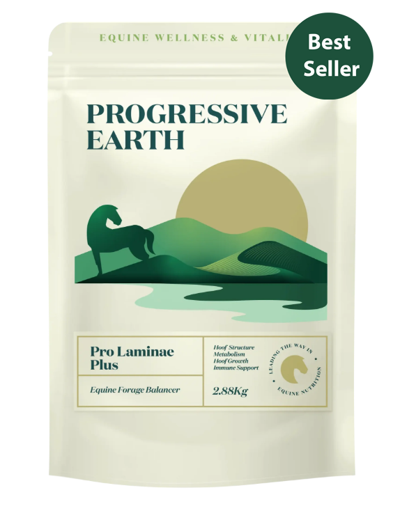 Progressive Earth Pro Laminae Plus package for equine wellness on a white background