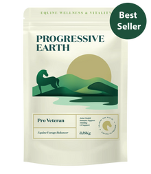 Progressive Earth Pro Veteran supplement package with scenic design and 'Best Seller' label.