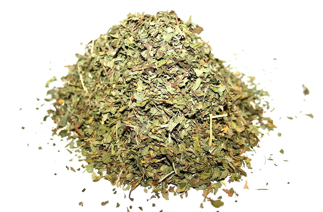 Spearmint (Mentha spicata)