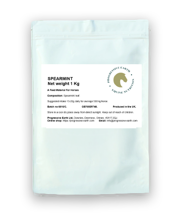 Spearmint (Mentha spicata)