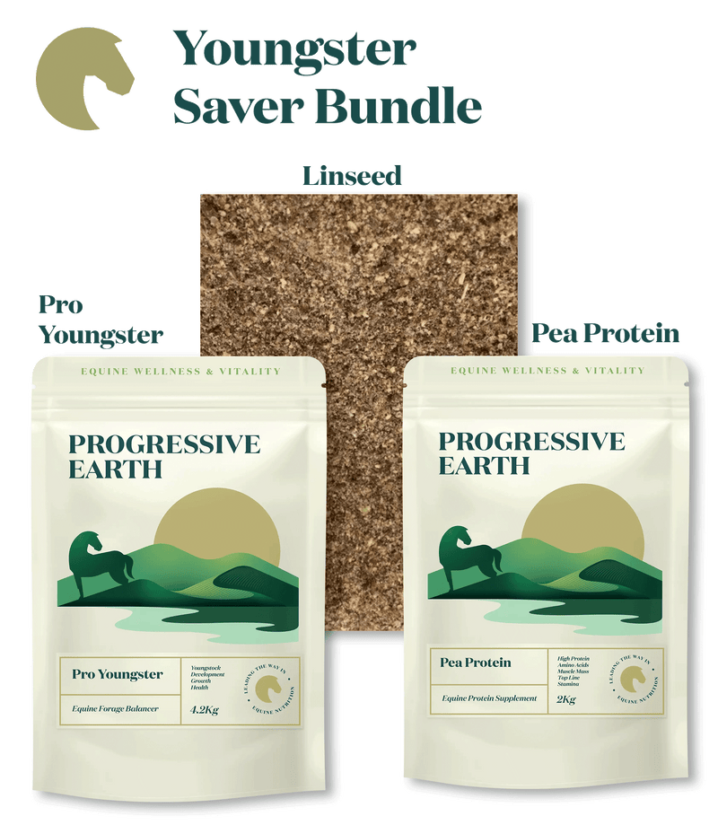 Youngster Saver Bundle